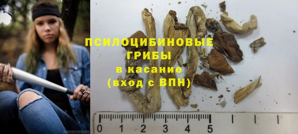 apvp Володарск