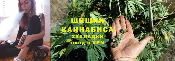 эйфоретик Вяземский