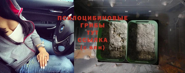 apvp Володарск