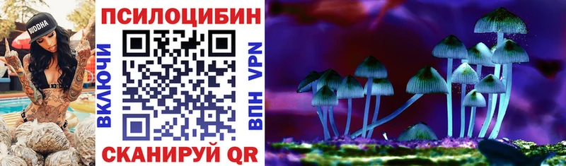 Псилоцибиновые грибы Psilocybine cubensis Купить закладки Байкальск